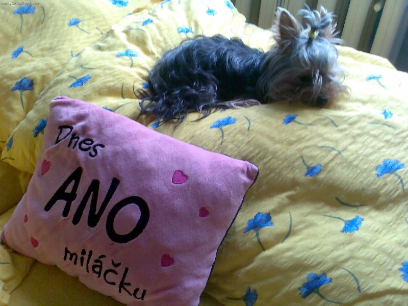 Foto: jessinka-Jessinka