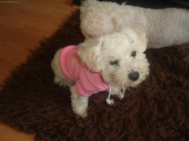 Foto: vivinka-frajerka v mikince