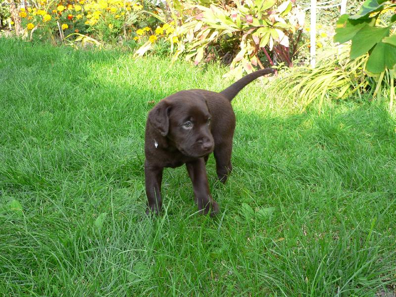 Foto: kdepak to jsem?-to je moje radost