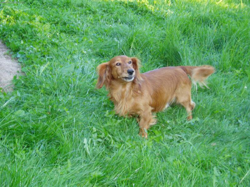 Foto: n� dan��ek