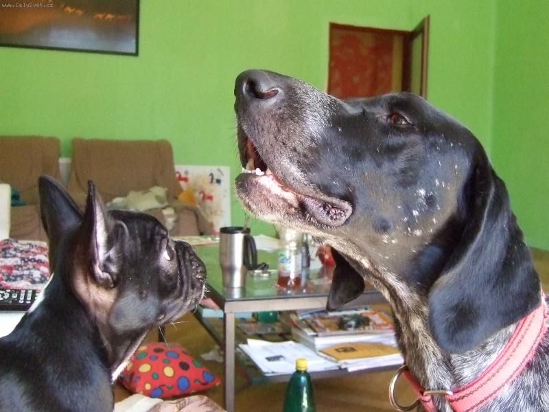 Foto: Aininka a jej� velk� "br�ka":o)