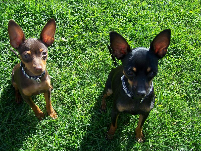 Foto: Kr��� a Gust�-holky