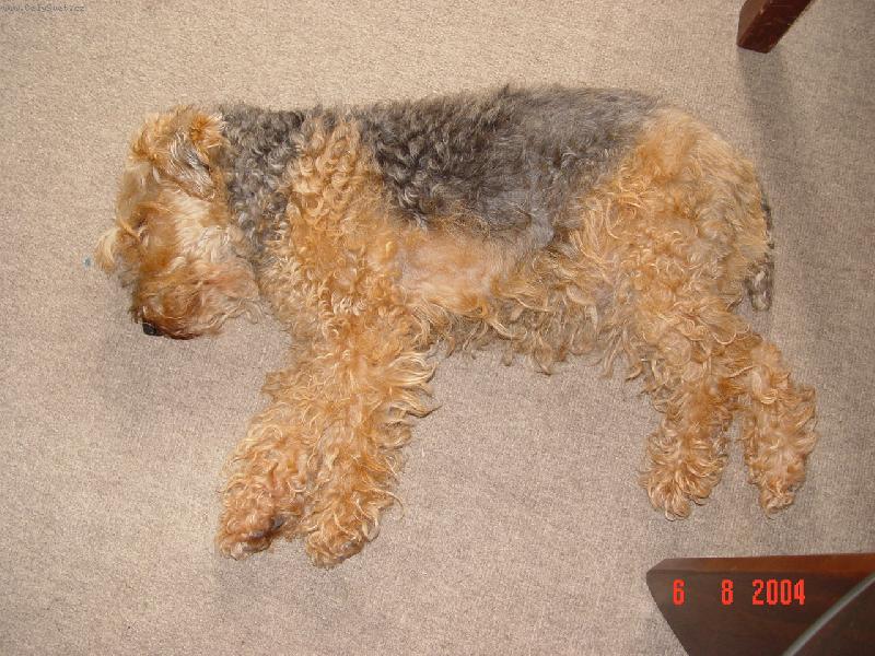 Foto: odpo�inek-..