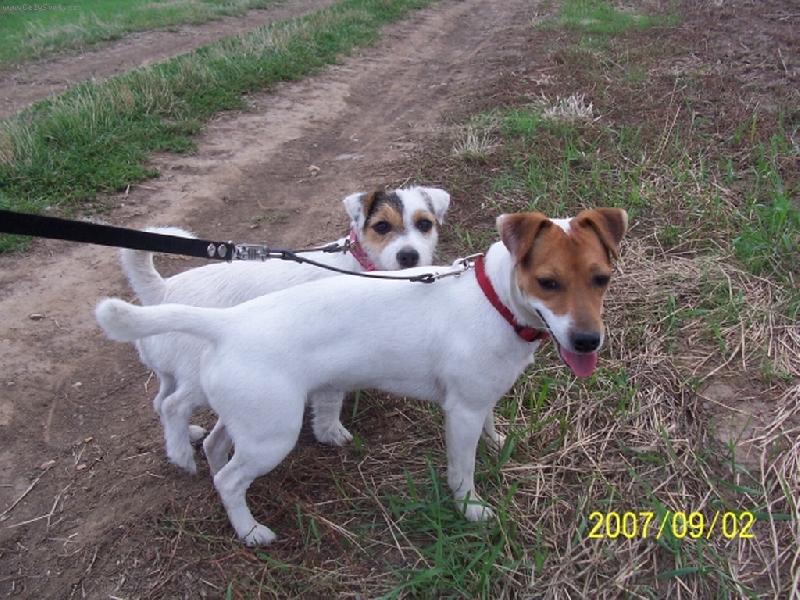 Foto: Wabira a In Love-Na vod�tku to nen� moc dobr�