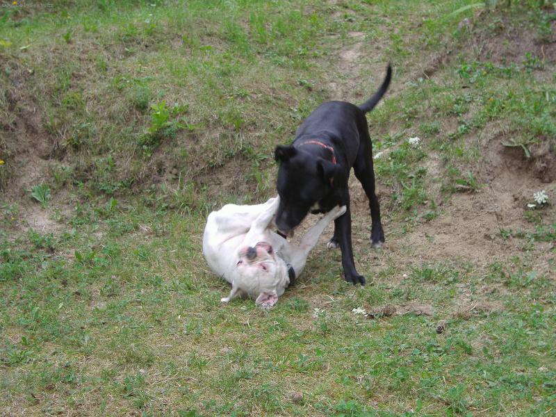 Foto: Mike a Matylda-My si jen hrajeme:-)