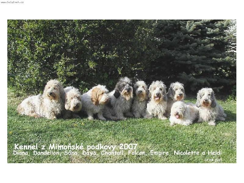 Foto: Kennel z Mimo�sk� podkovy-na�e sme�ka