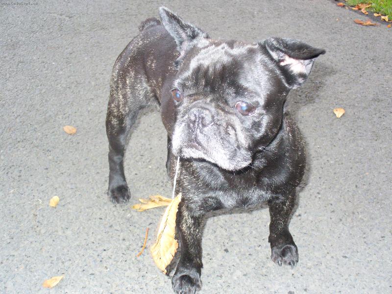 Foto: na�e slintac� S�ra-uslintan� S�ra