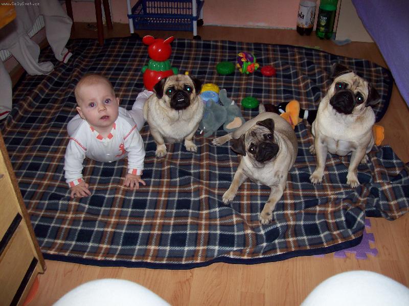 Foto: zase v�eci pohromad�-moje mal� Nikolka,besinka,jessy a Nelli
