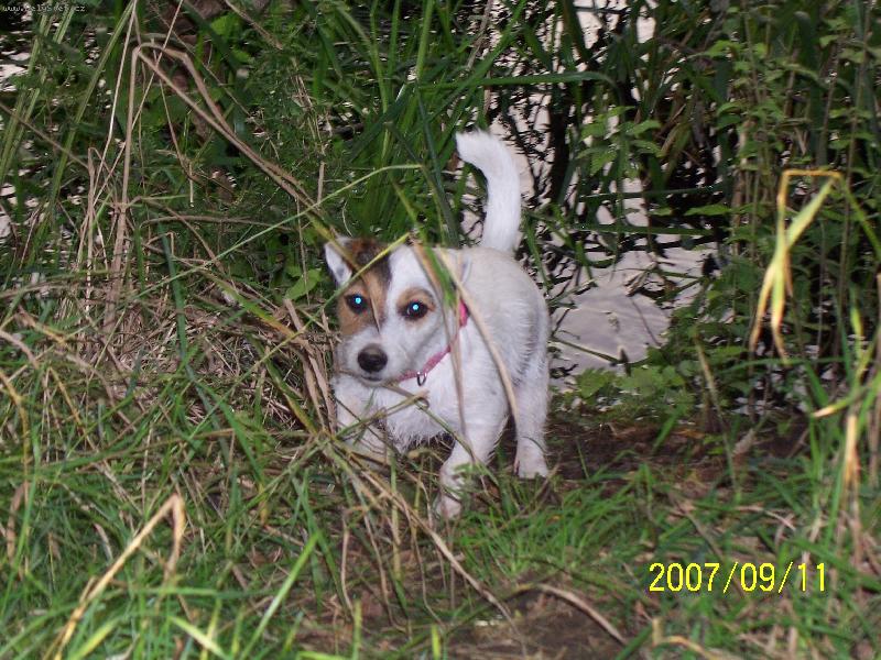 Foto: Wabira Drapichrust-U� se vody skoro neboj�m