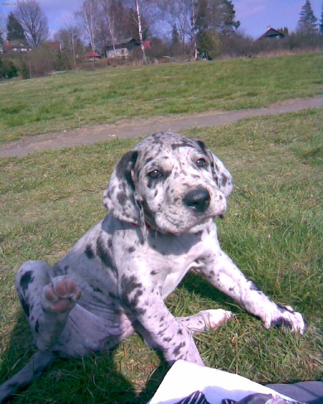 Foto: Woody-W�d��nek (7.t�dn�),odpo�inek u vody