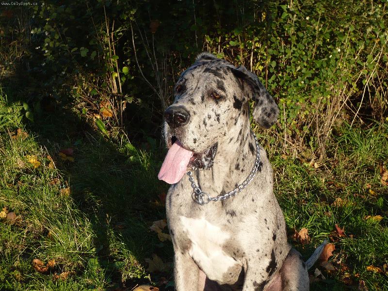 Foto: Woody-Woody 6.m�s�c�