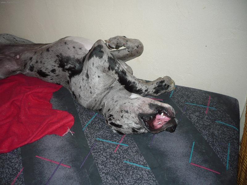 Foto: Woody-�lof��ek po ob�d�