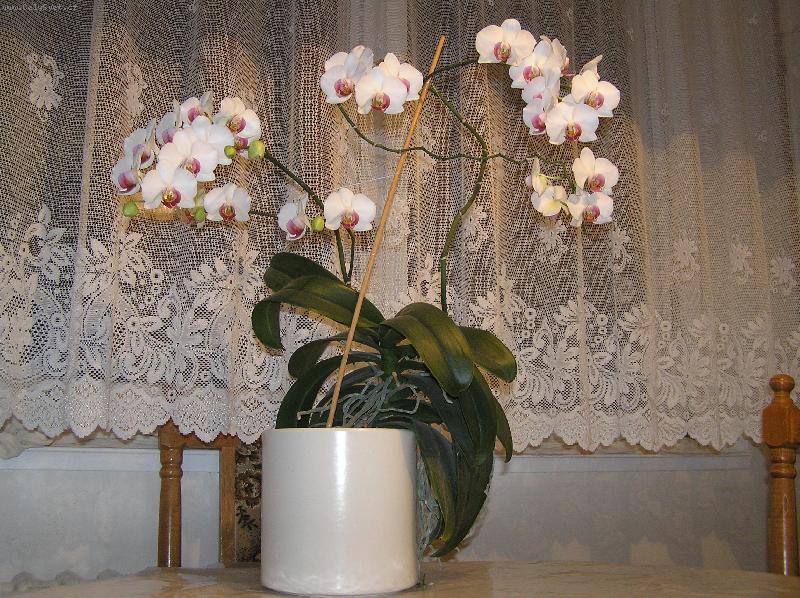 Foto: Milu�ka K�nov� z B�eclavi