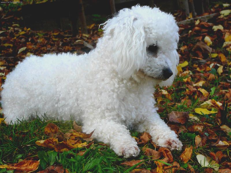 Foto: Danny-Co to tam je? :o)