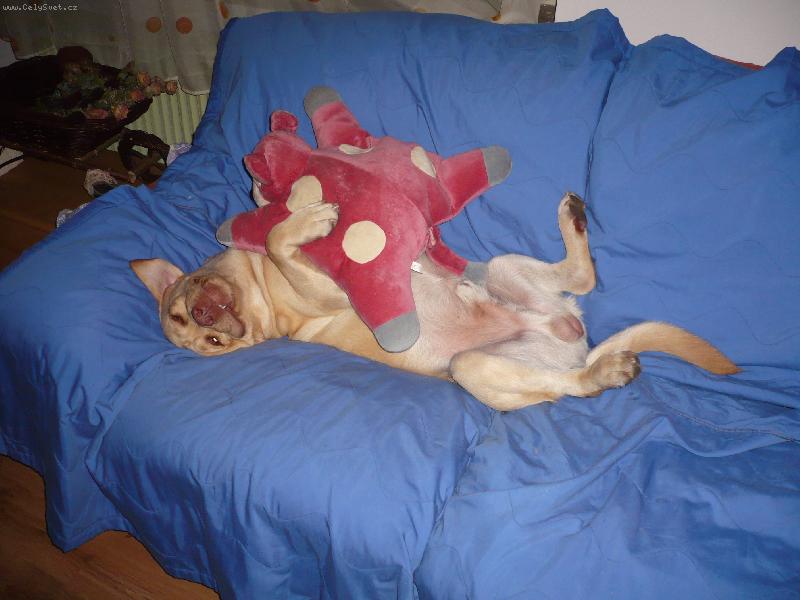 Foto: Neboj,nikomu t� ned�m