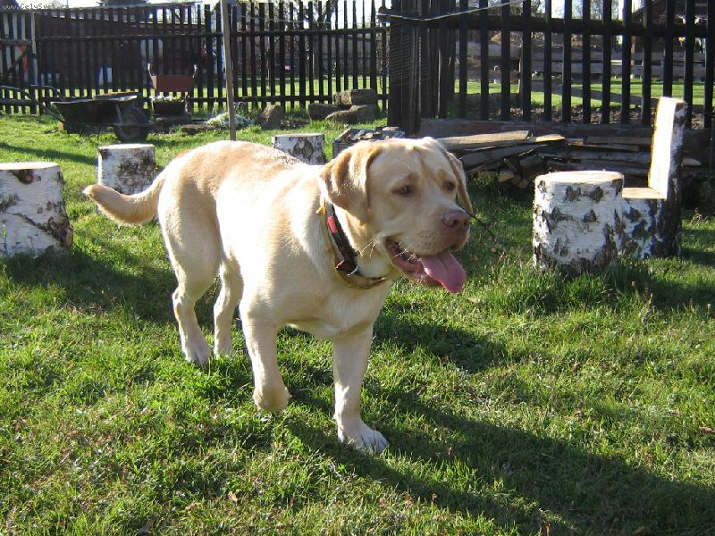 Foto: Na n�v�t�v�