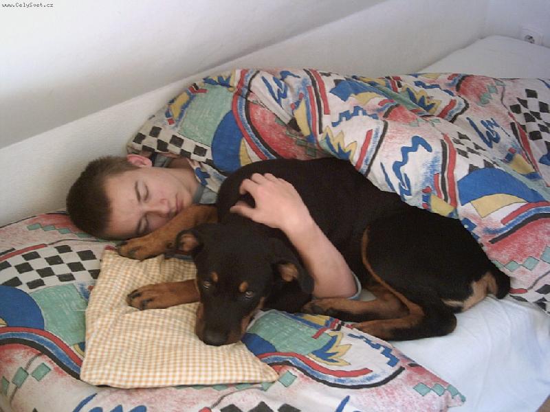 Foto: RTW, 5 m�s�c�-tak kdo z v�s je to bojov� plemeno?