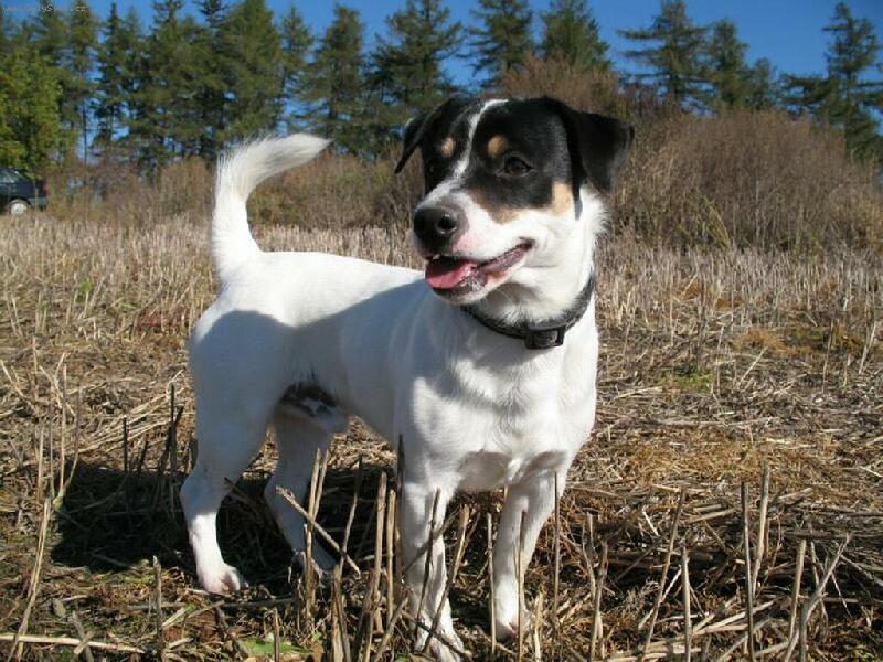 Foto: Na podzimn� vych�zce