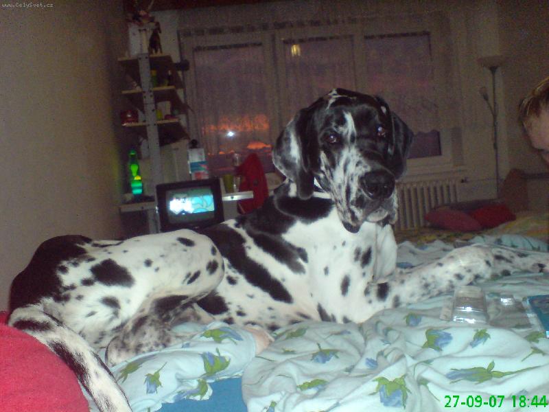 Foto: Ruben Dino Dinno-U p�n��k� se mi le�� nejl�pe..