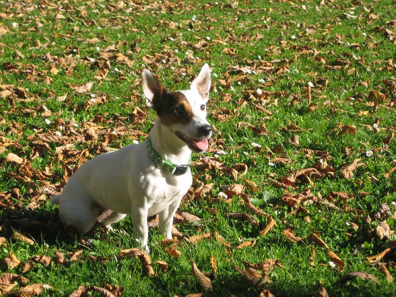 Foto: Ebby-Podzimn� foto