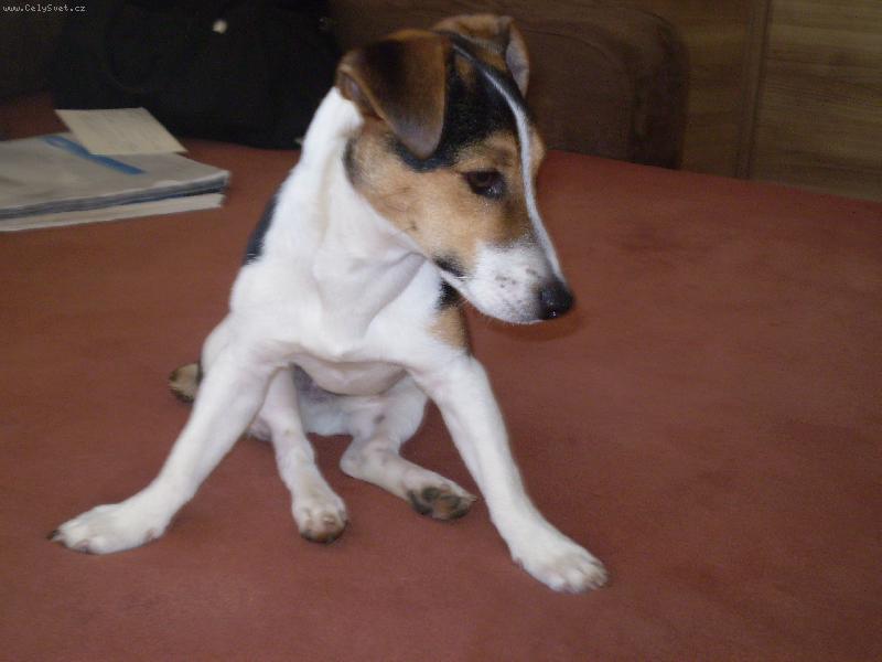 Foto: Bub�tek-u� um�m skoro rozno�ku :)