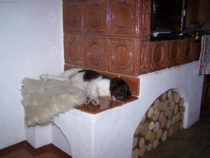 Foto: Atos - 8 t�dn�-U kamen se dob�e spink�