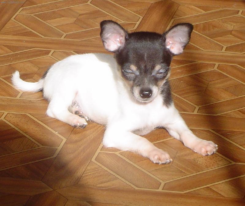 Foto: mal� a �ikovn�-mal� a �ikovn�