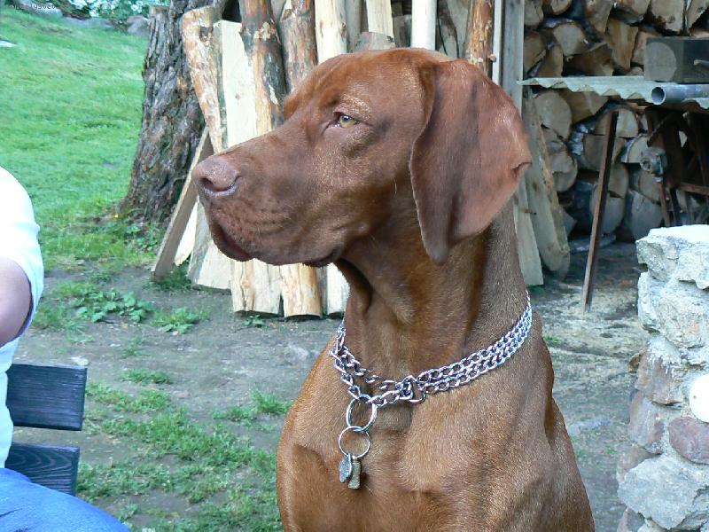 Foto: Paddy z D���na-Trochu detailu