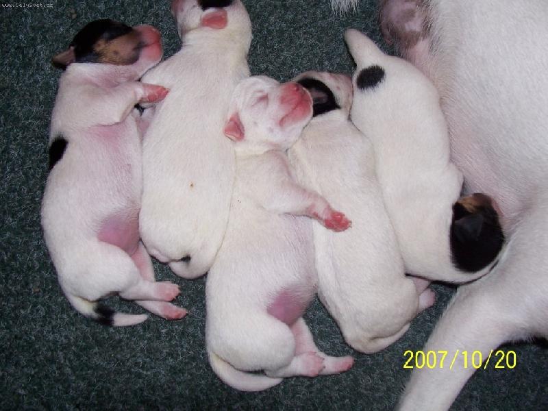 Foto: Spink�me a jsme spokojen�-Napapan� a spokojen�