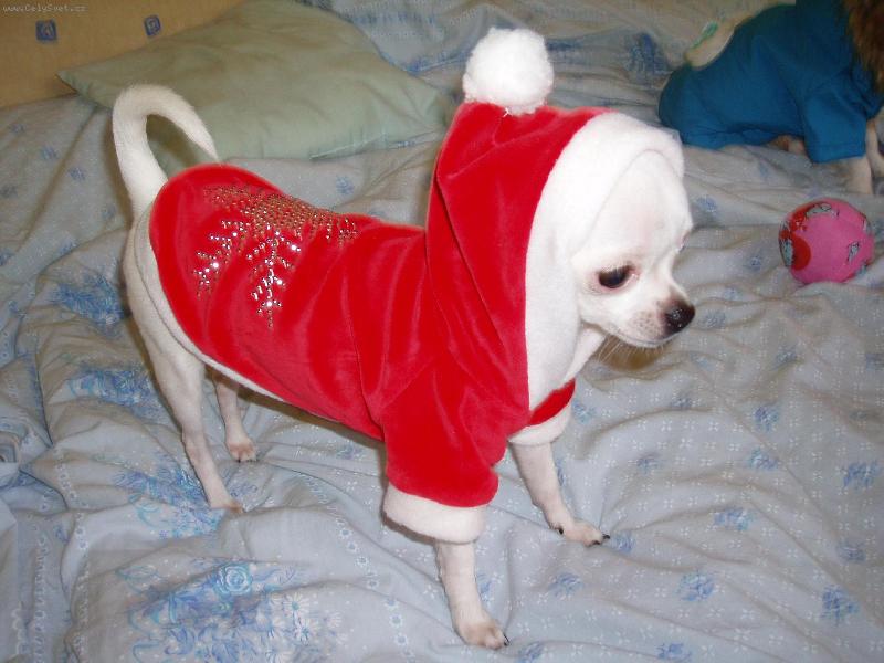 Foto: Jassinka-"SANT�K"