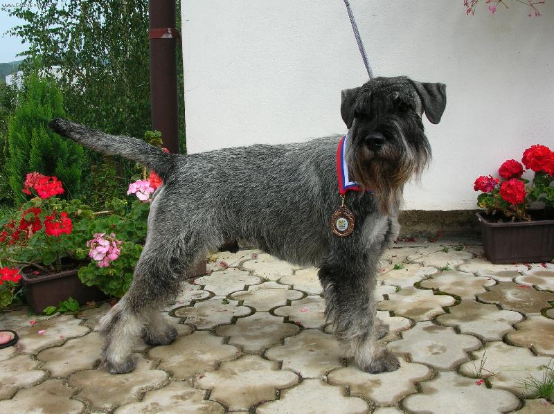 Foto: Bill�k-mamimy Bill