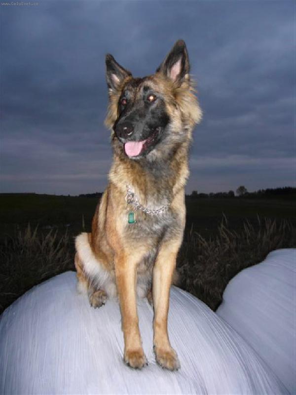 Foto: Ahojky, El� bude 1 rok 30.10.2007-Ahojky, El� bude 1 rok 30.10.2007