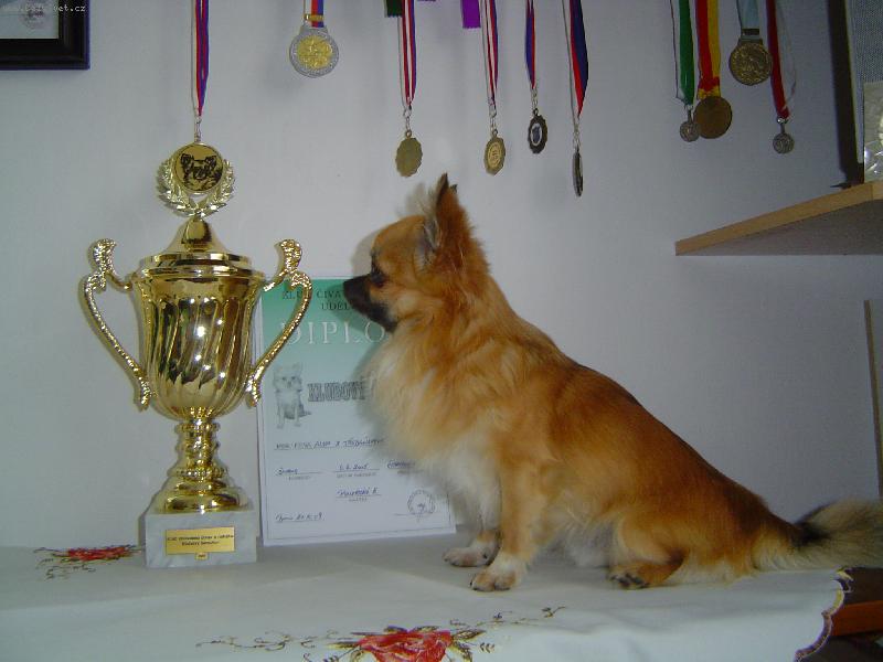 Foto: bude pln� �amp��a-ten se mi povedl