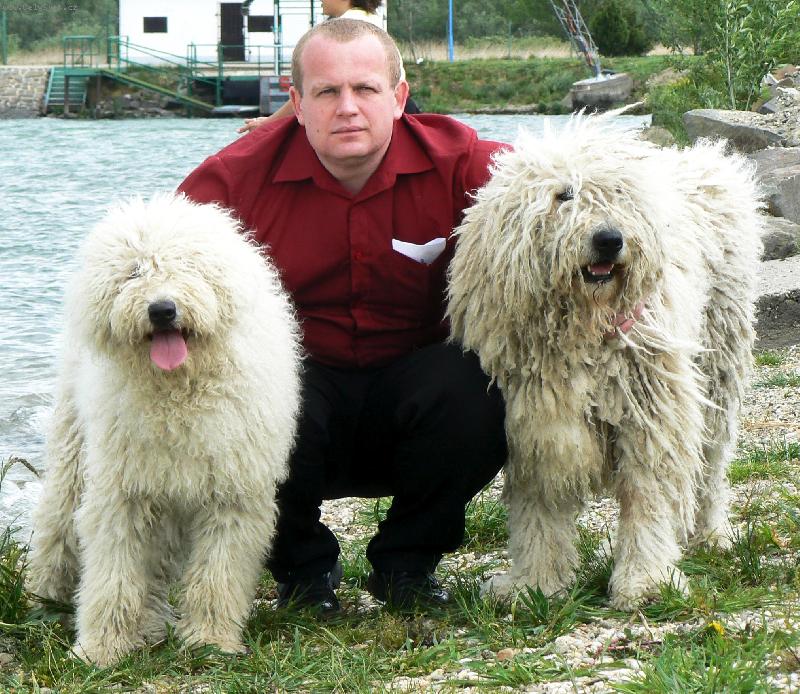 Foto: komondor-mlad� fena a pes s chovatelem
