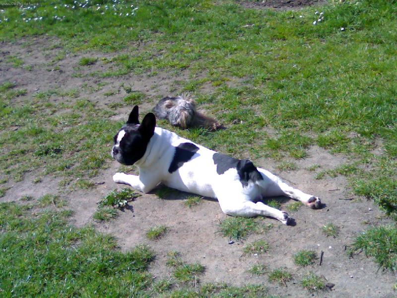 Foto: milenecky p�r-mates a nelly velka laska