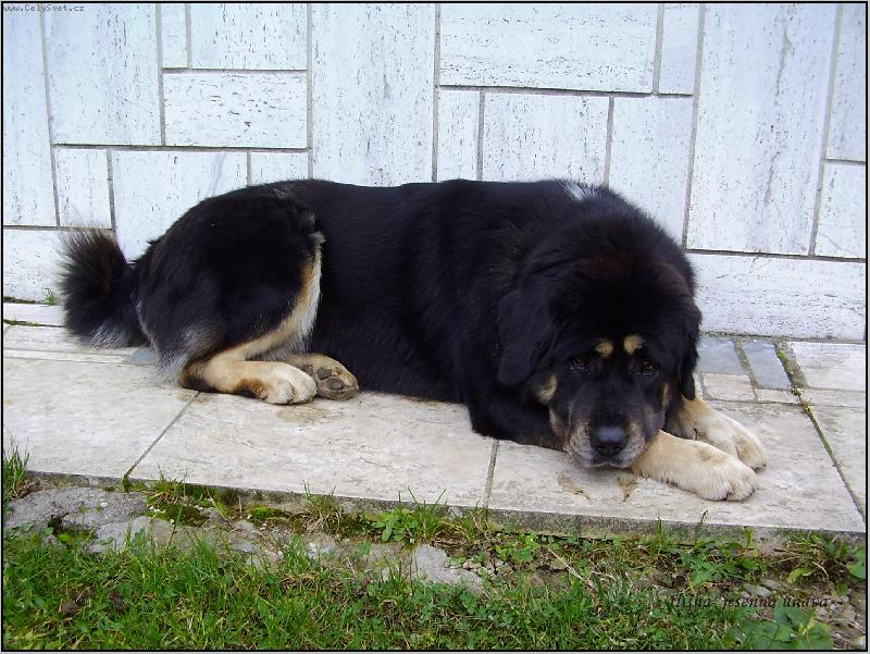 Foto: Alisha 11 mesiacov-11 mesiacov