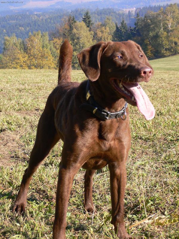 Foto: Kira Gala z Vinice-Kira Gala z Vinice