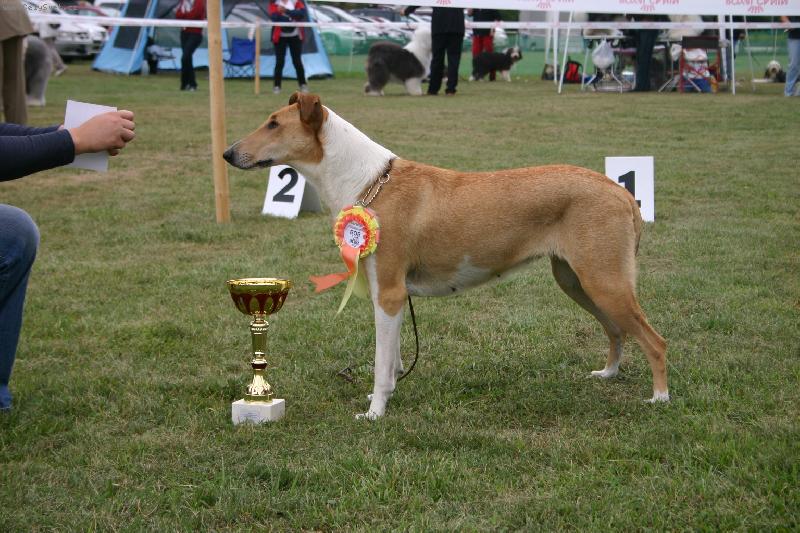 Foto: Gaya Kr�sn� Louka