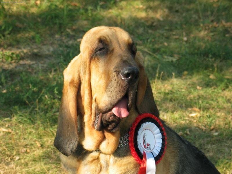 Foto: Rosemary Famous Alhavant-Po sout�i