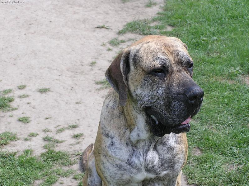 Foto: Ark�nek-Ark�nek