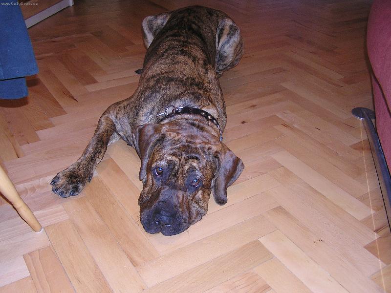 Foto: To je pohodi�ka-To je pohodi�ka