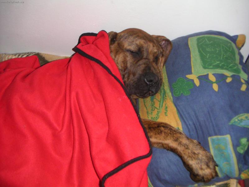 Foto: Sp�m....-Sp�m....