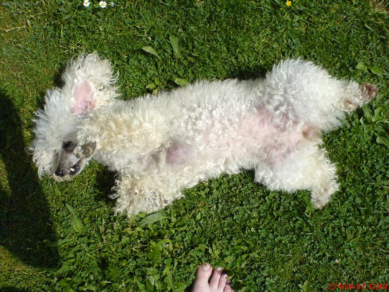 Foto: Moje zlat��ko Kela-Takhle se v l�t� slun�