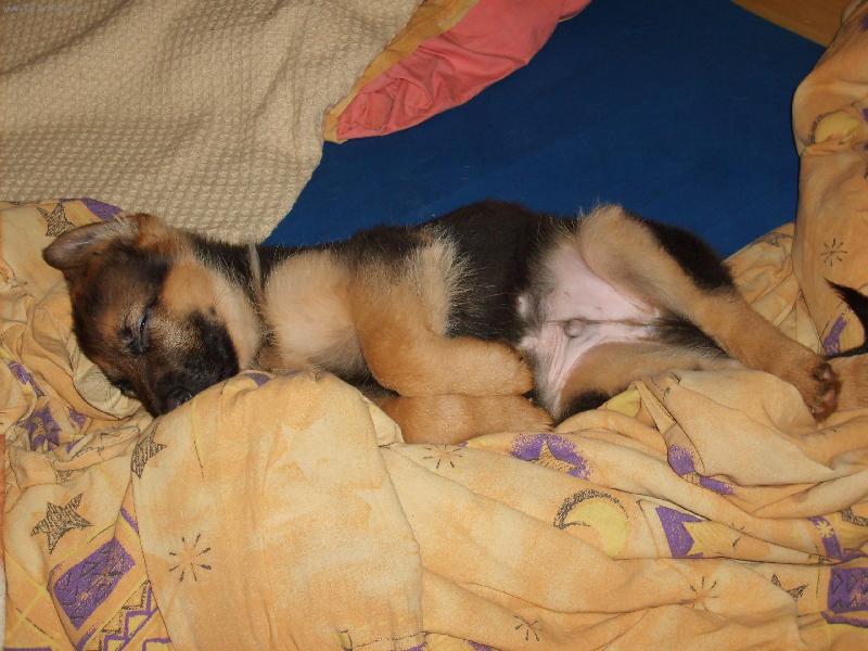 Foto: Xenon z Herodesova domu