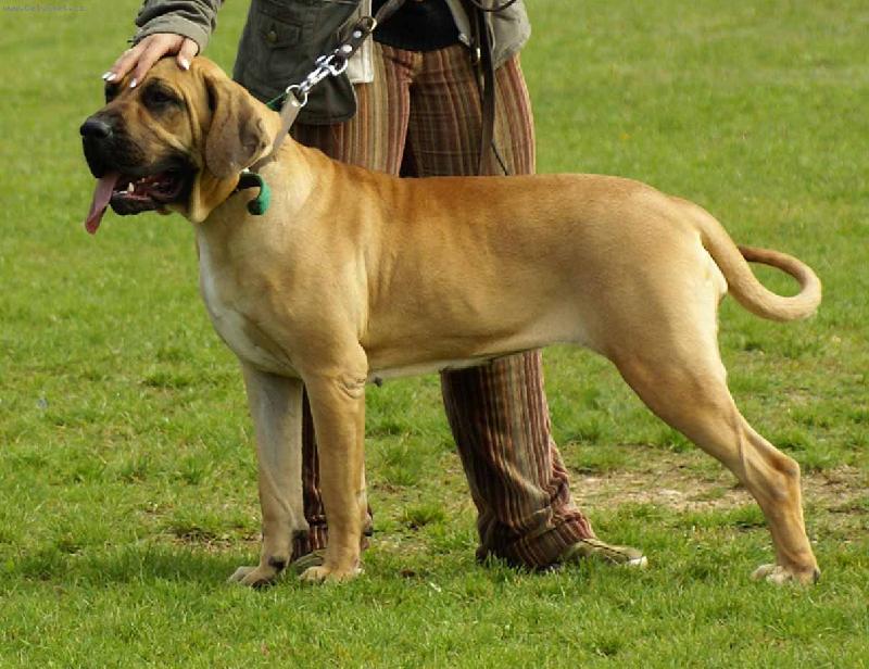 Foto: Eroni Oguna Santa Catarina