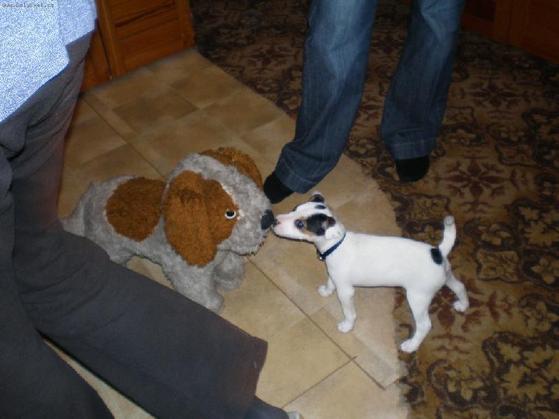 Foto: Pozn�v� sv�t-A j� u� myslela �e to je nov� kamar�d