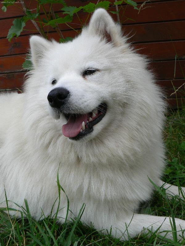 Foto: Iriska-www.kamarad99.wz.cz