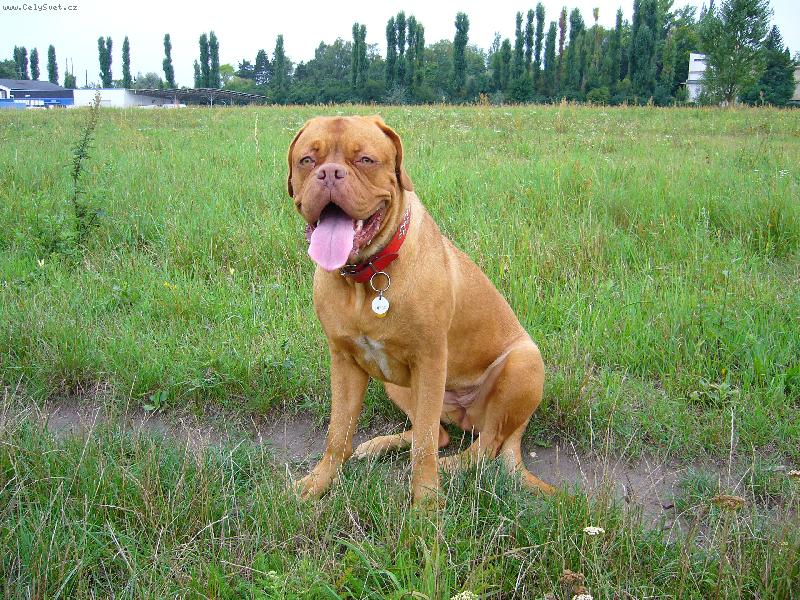 Foto: Uz jsem Velka Holka