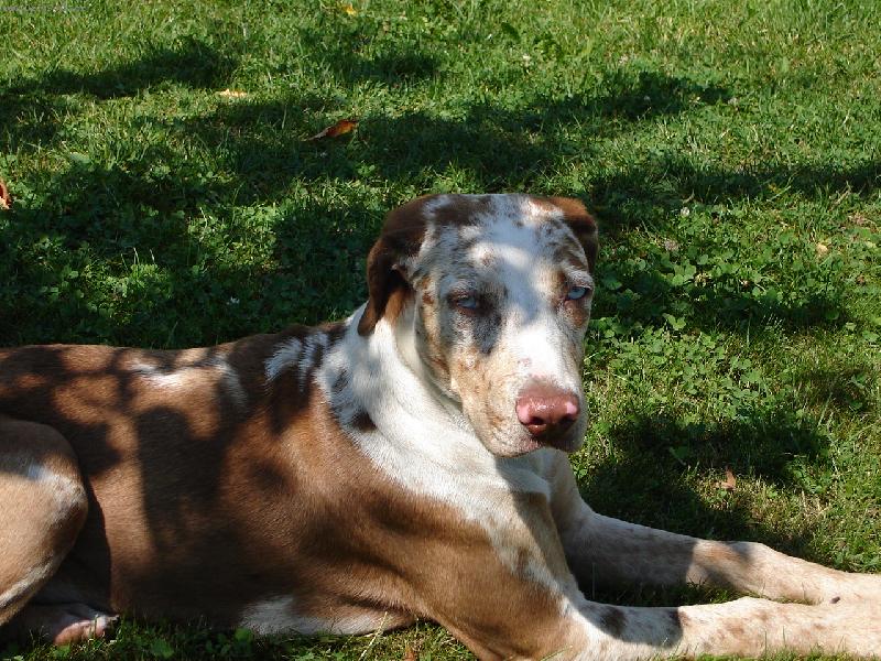 Foto: Kone�n� doma-IZZ odpoledn� pohoda