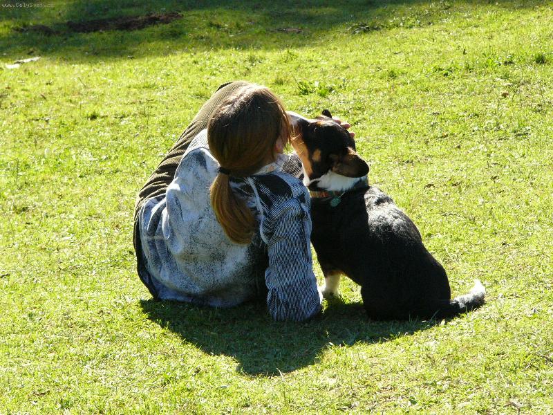 Foto: Enulka u ove�ek-Pusana- poj� u� p�st